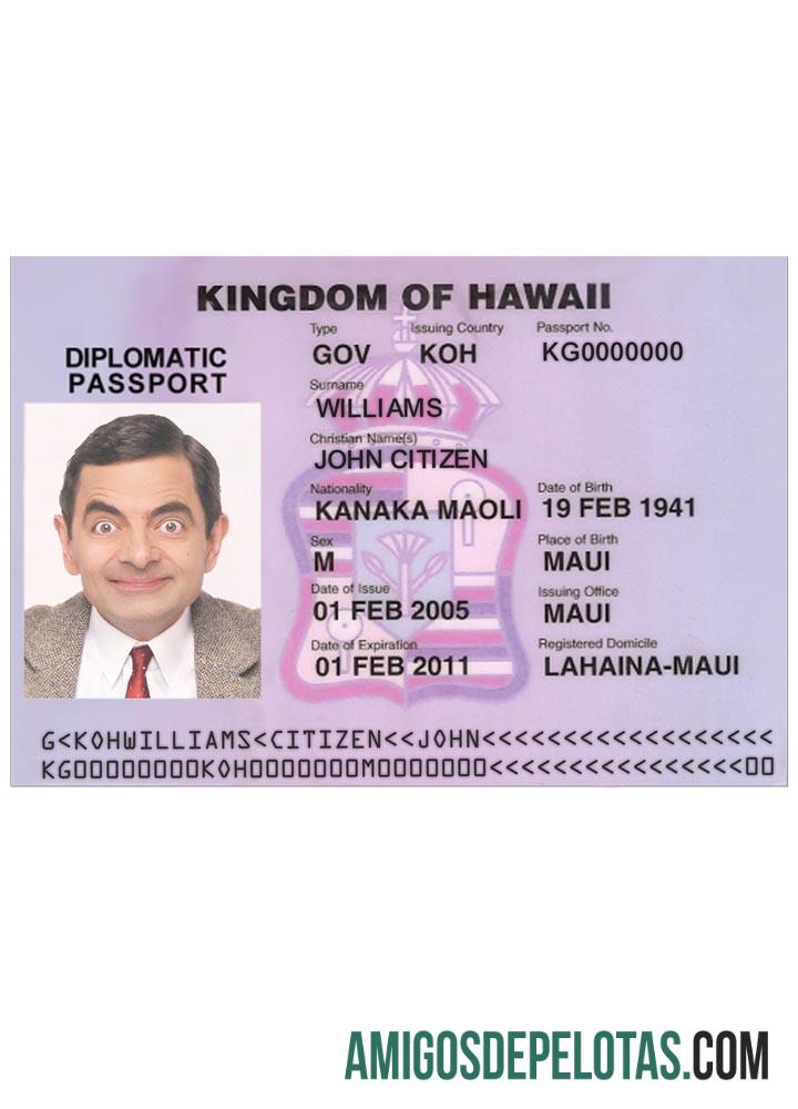 Visto para HAVAÍ exemplo real